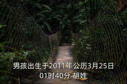 男孩出生于2011年公歷3月25日01時40分 胡姓
