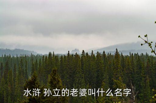 水滸 孫立的老婆叫什么名字