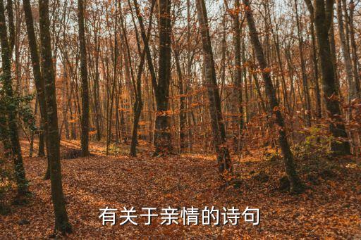 描寫親情的詩句，表示親情的詩句