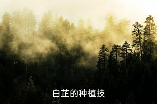 白芷的種植技