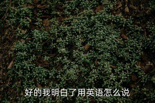 好的我明白了用英語怎么說