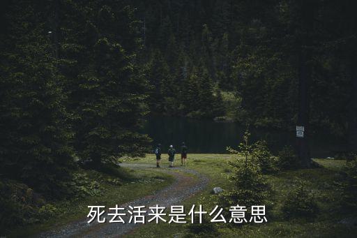 死去活來的意思，人死后打入地道是什么意思