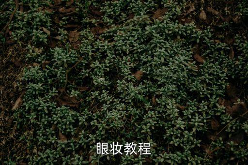眼妝教程