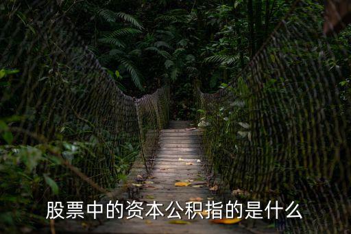股票公，股票公積金是什么有什么用