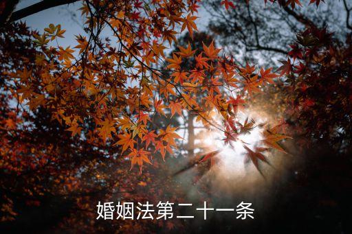 婚姻法第二十一條