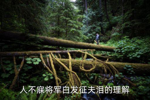 將軍白發，人不寐將軍白發征夫淚的理解