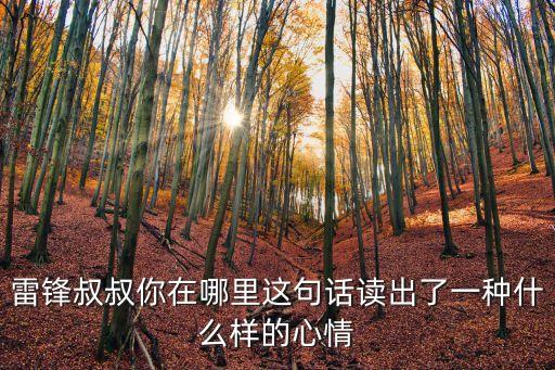 雷鋒叔叔你在哪里這句話讀出了一種什么樣的心情
