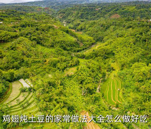 土豆燉雞翅，雞翅燉土豆的家常做法大全怎么做好吃