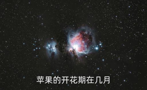 蘋果幾月開花，蘋果的開花期在幾月