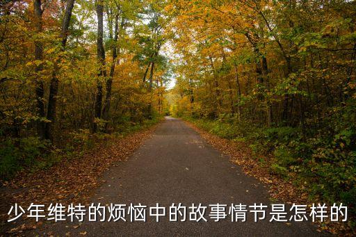 少年維特的煩惱，少年維特的煩惱中的故事情節是怎樣的