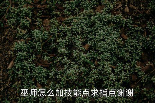 巫師3技能加點(diǎn)，巫師3點(diǎn)什么技能比較適合