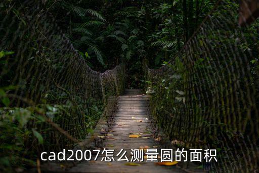 cad2007怎么測量圓的面積