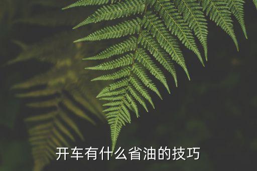 怎么開車省油，開車省油的方法