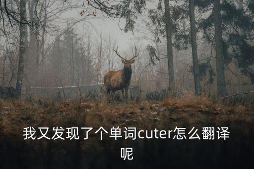 cuter，我又發(fā)現(xiàn)了個單詞cuter怎么翻譯呢