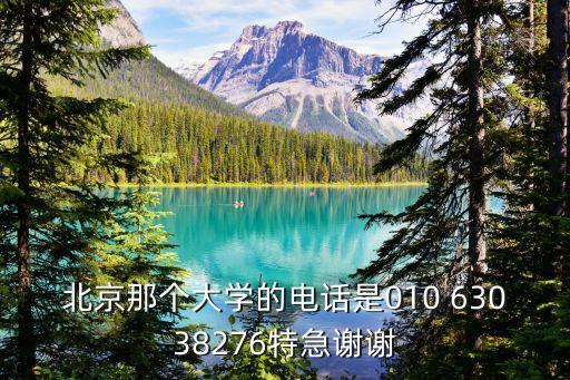 北京那個(gè)大學(xué)的電話是010 63038276特急謝謝