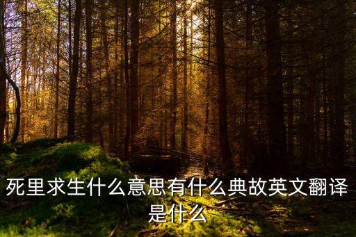死里求生，死里求生什么意思有什么典故英文翻譯是什么