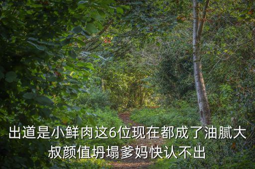 出道是小鮮肉這6位現在都成了油膩大叔顏值坍塌爹媽快認不出