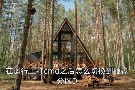 在運行上打cmd之后怎么切換到硬盤分區D
