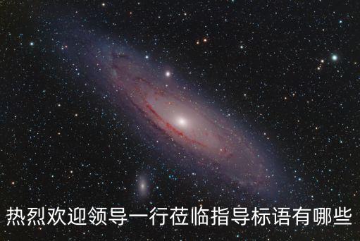 熱烈歡迎領導一行蒞臨指導標語有哪些