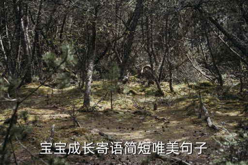 寶寶成長寄語簡短唯美句子