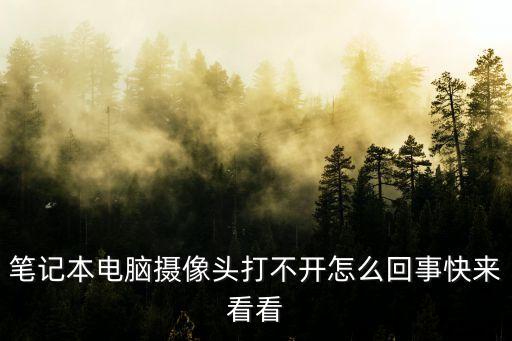 筆記本電腦攝像頭打不開怎么回事快來看看