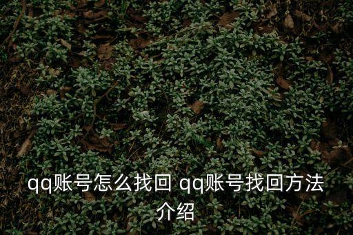 qq賬號找回，qq賬號怎么找回 qq賬號找回方法介紹