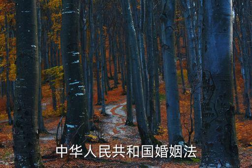 中華人民共和國婚姻法