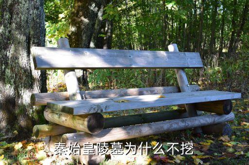 秦始皇陵墓為什么不挖