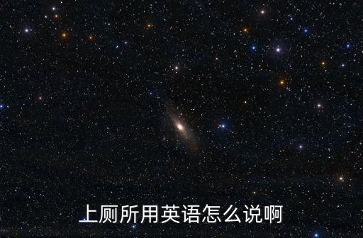上廁所用英語怎么說啊