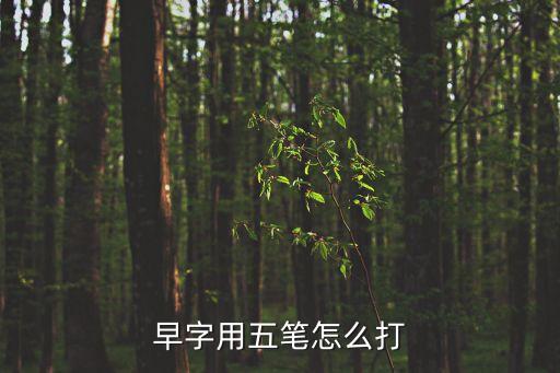 早的五筆怎么打字，早五筆怎么打字