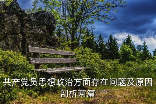 黨員剖析，做合格共產黨員剖析材料合格黨員自我檢查材料2
