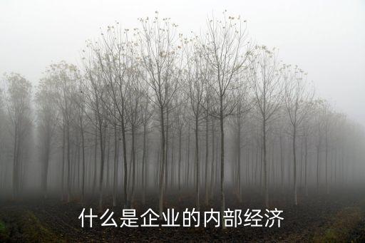 內(nèi)部經(jīng)濟(jì)，什么是企業(yè)的內(nèi)部經(jīng)濟(jì)