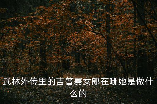 吉卜賽女郎，武林外傳里的吉普賽女郎在哪她是做什么的