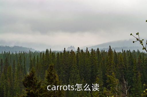 carrots怎么讀