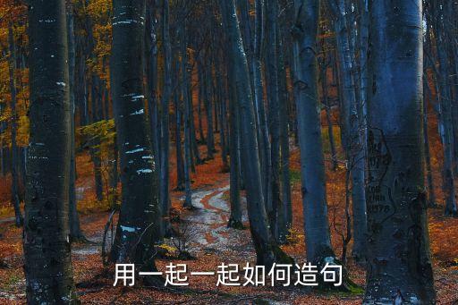 用一起一起如何造句