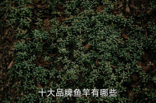 好魚竿品牌，十大品牌魚竿有哪些