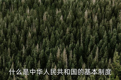 黨的基本制度，我國的基本制度是什么