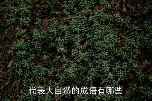 代表大自然的成語有哪些