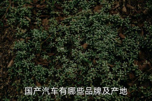 國產汽車有哪些品牌及產地