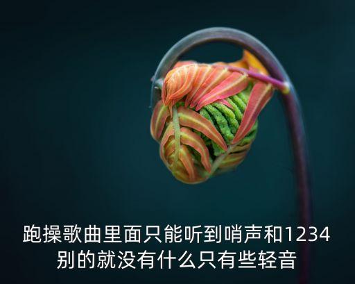 跑操歌曲里面只能聽(tīng)到哨聲和1234別的就沒(méi)有什么只有些輕音