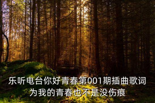 樂聽電臺你好青春第001期插曲歌詞為我的青春也不是沒傷痕