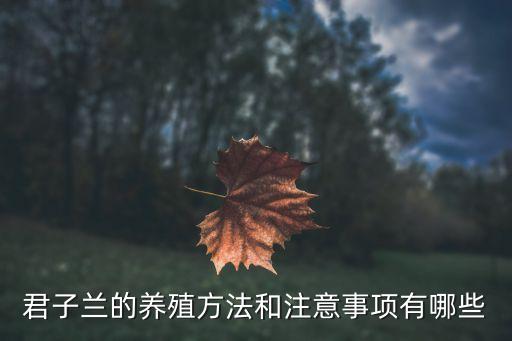 養(yǎng)君子蘭的方法，君子蘭的養(yǎng)殖方法和注意事項(xiàng)有哪些