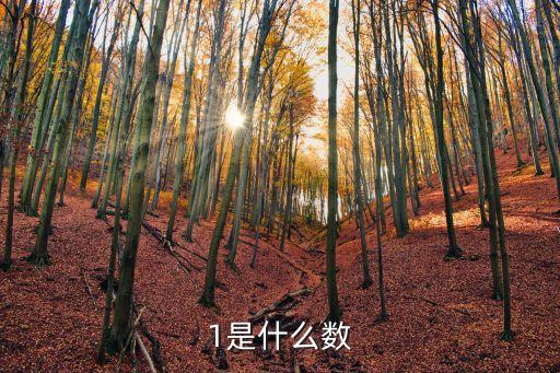 1是什么數，1是什么數