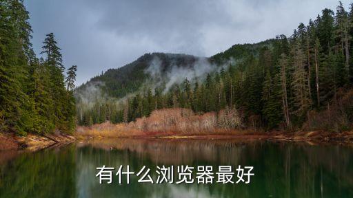 哪個瀏覽器好用，有什么瀏覽器最好