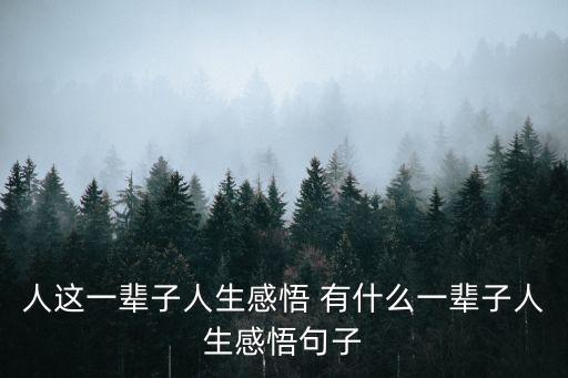 人的一生感悟，人生一輩子感悟的句子