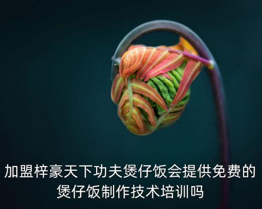 加盟梓豪天下功夫煲仔飯會提供免費的煲仔飯制作技術培訓嗎