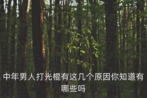 光棍理論，光棍是指單身男還是指單身男女呢