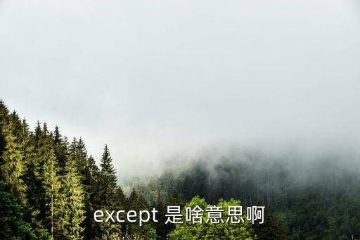 excepted，except的意思