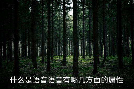 什么是語(yǔ)音語(yǔ)音有哪幾方面的屬性