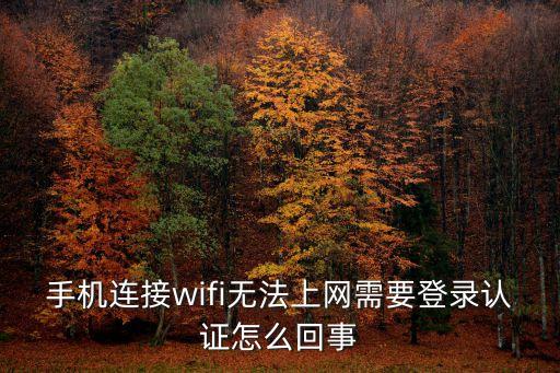 上網登錄認證，自家wifi需要登陸認證怎么辦